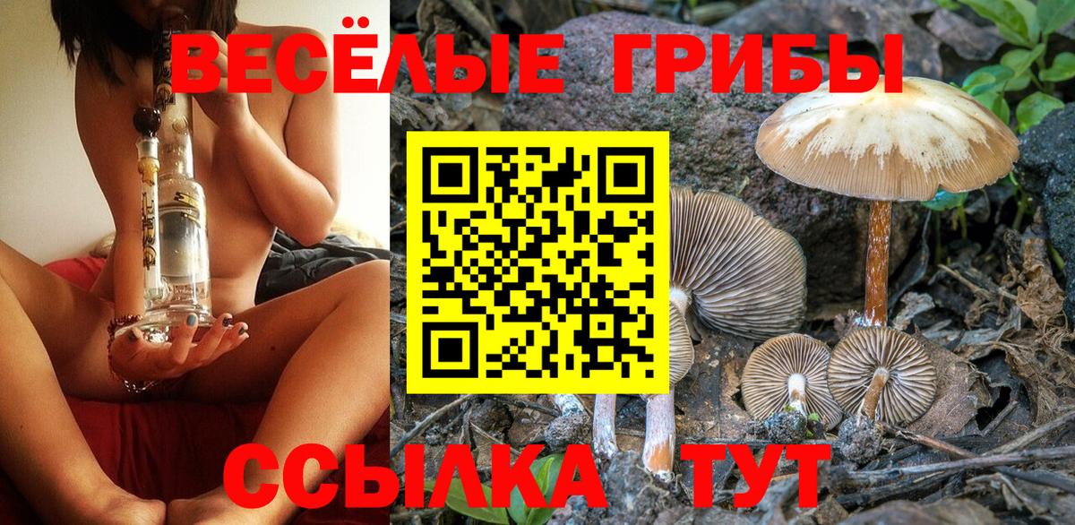 Псилоцибиновые грибы мицелий  Вход с VPN  купить наркотики сайты  Гусиноозёрск 
